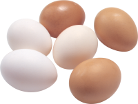 Яйца PNG фото