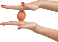 Egg in hands PNG image