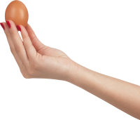 Яйцо в руке PNG фото