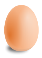 Egg PNG image