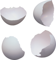 Разбитое яйцо PNG фото