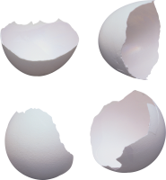 eggs PNG transparent image download, size: 2400x2131px