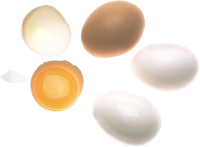 eggs PNG transparent image download, size: 2400x2131px