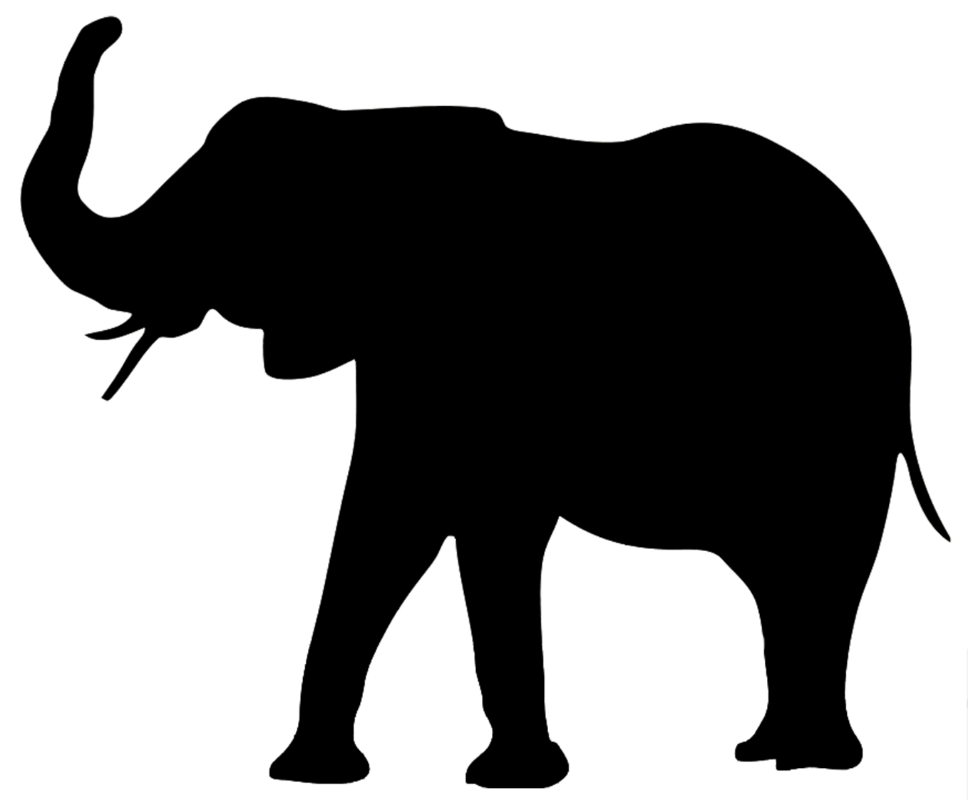  PNG