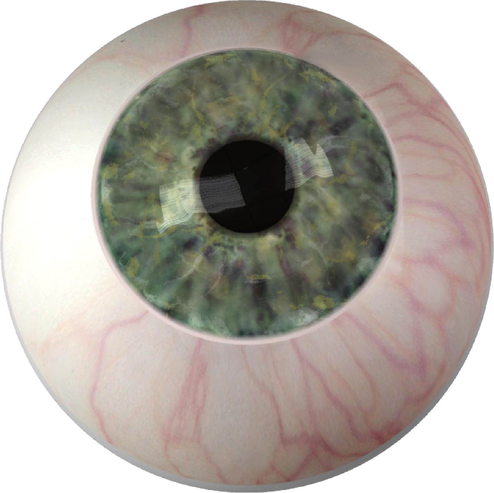 Eye PNG transparent image download, size: 1604x1603px