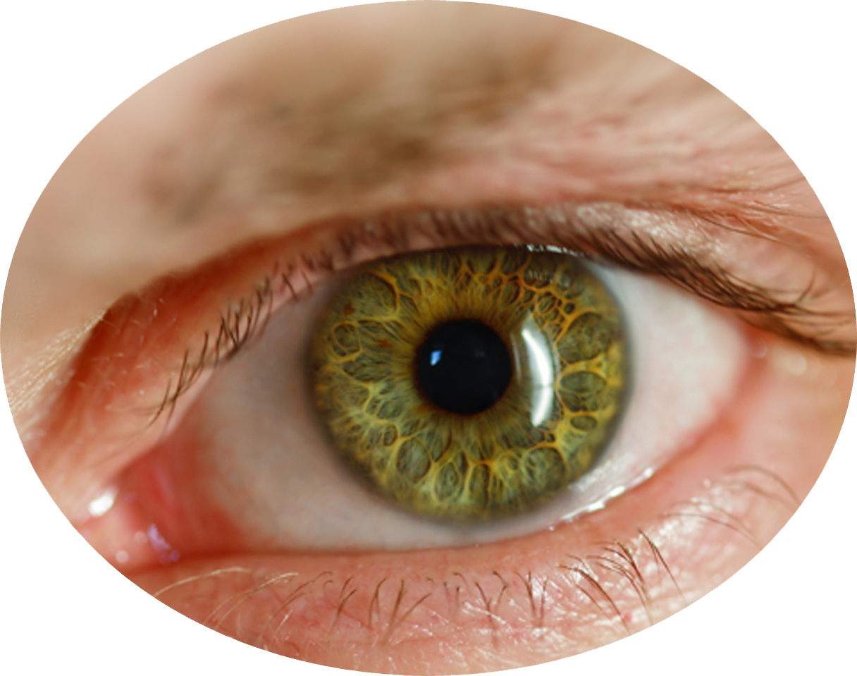 Eye PNG