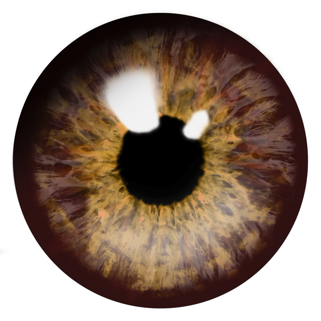 Ojo PNG