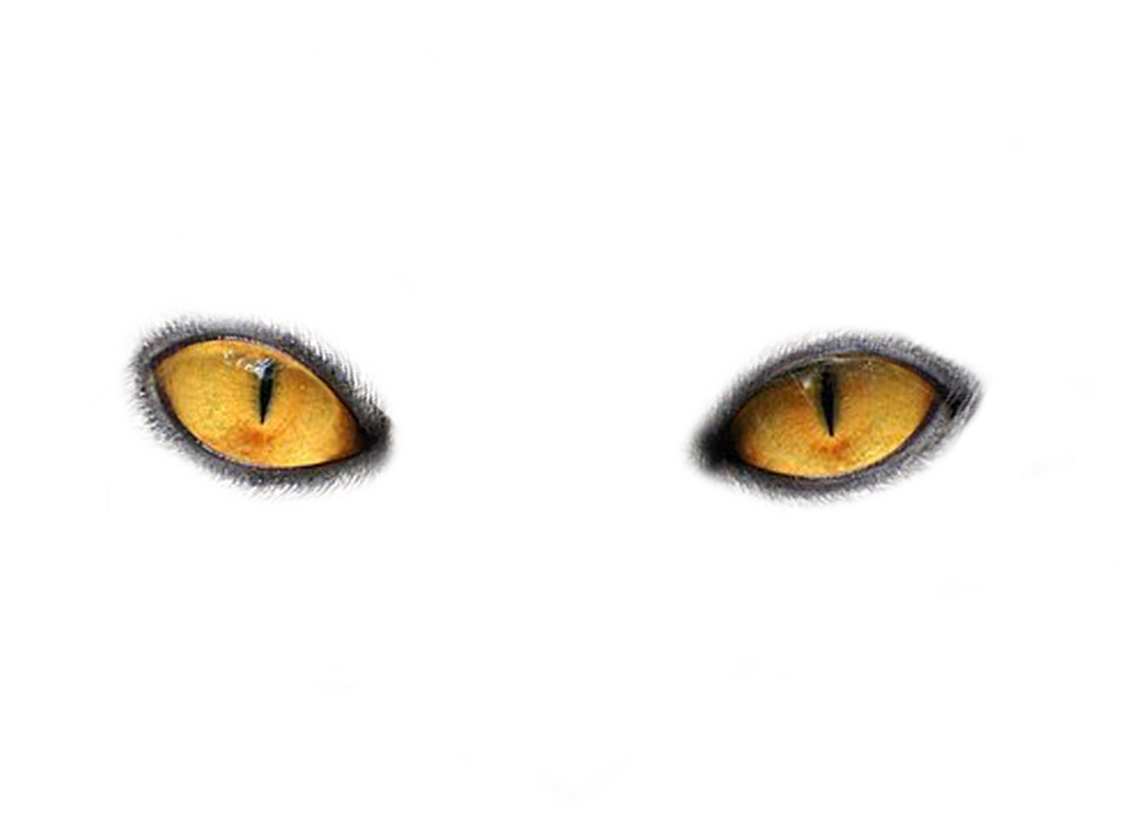 Глаза PNG фото