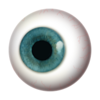 Глаз PNG