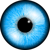 Eye PNG image