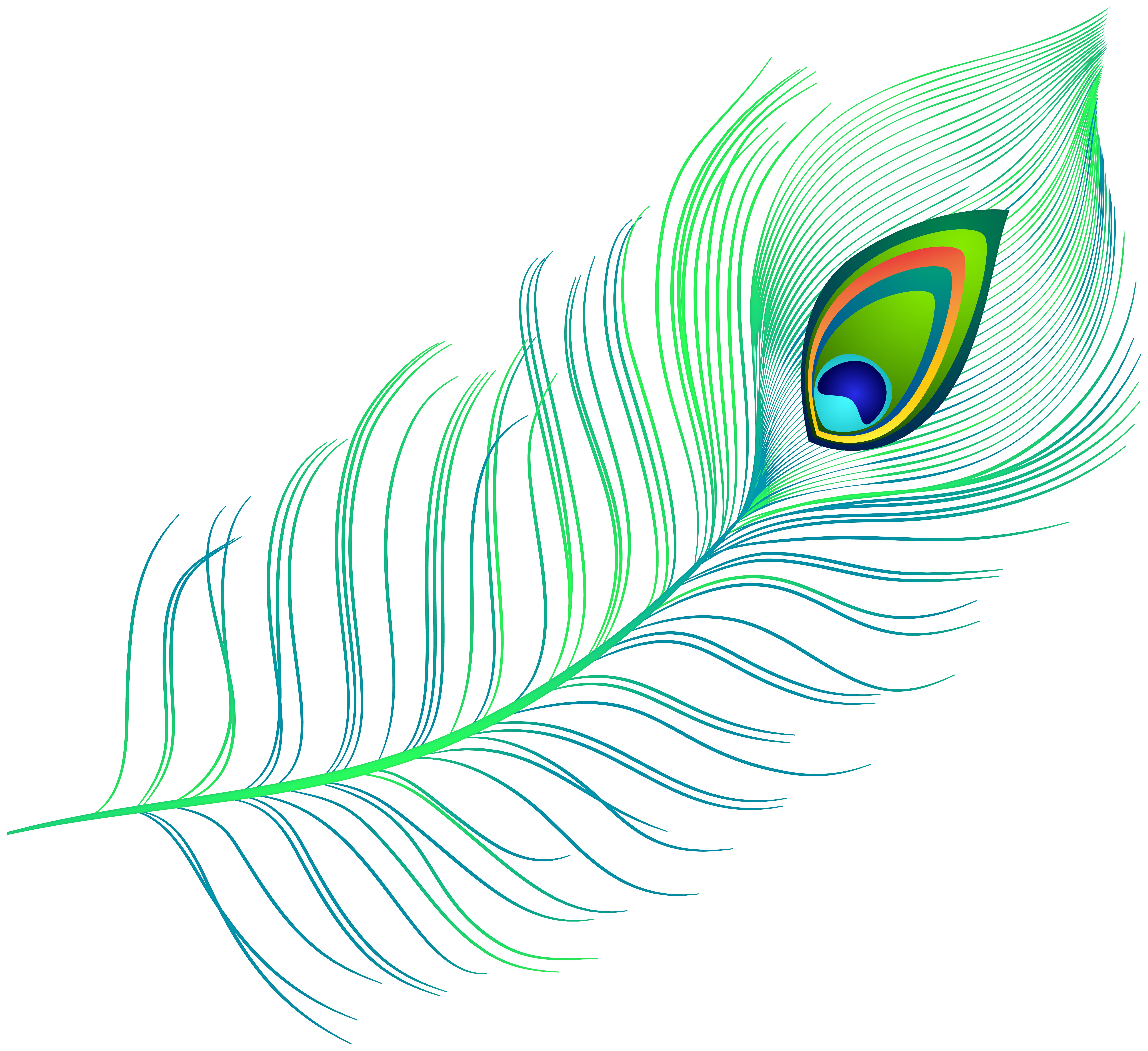 green feather PNG