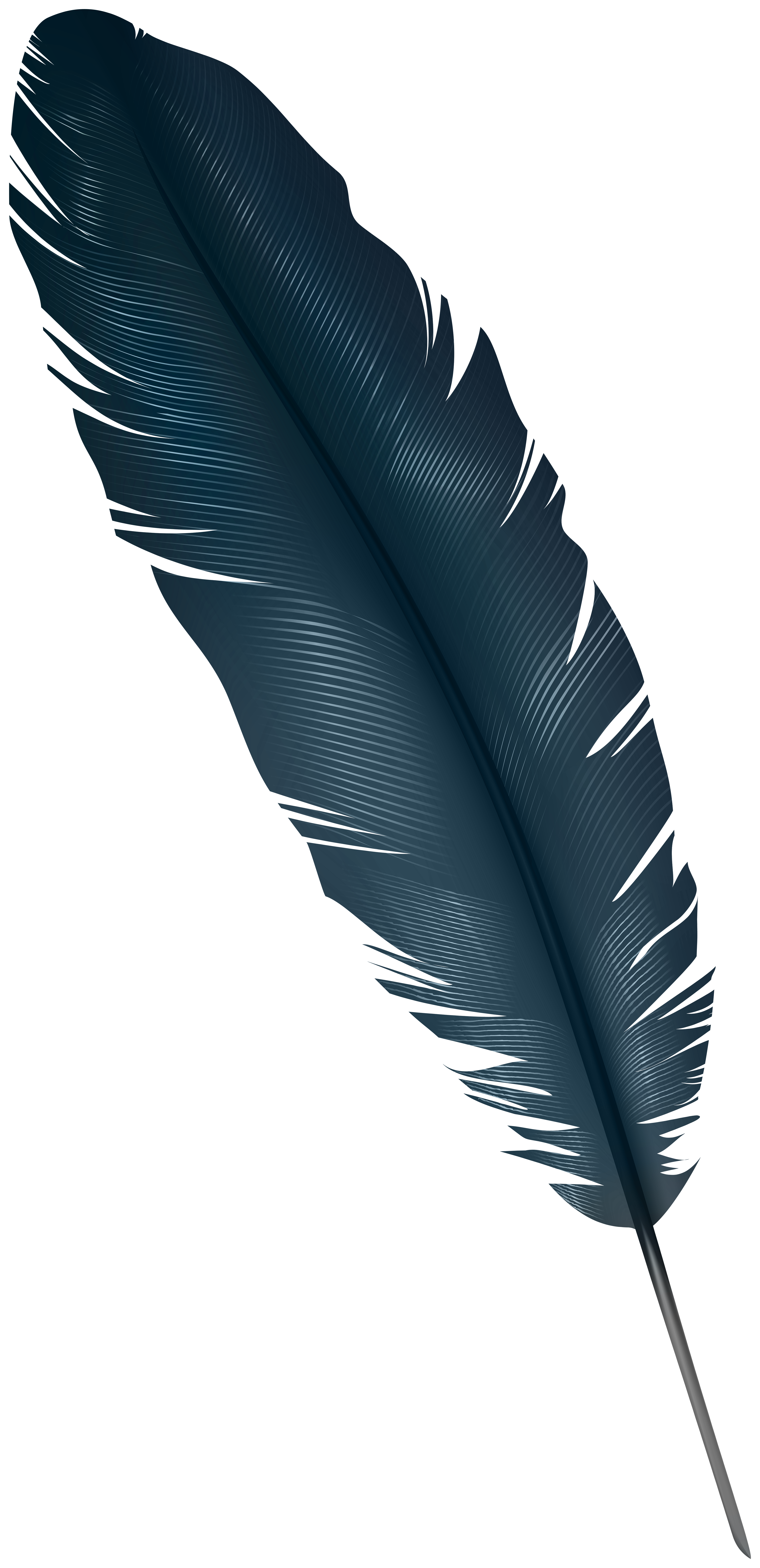 dark feather PNG