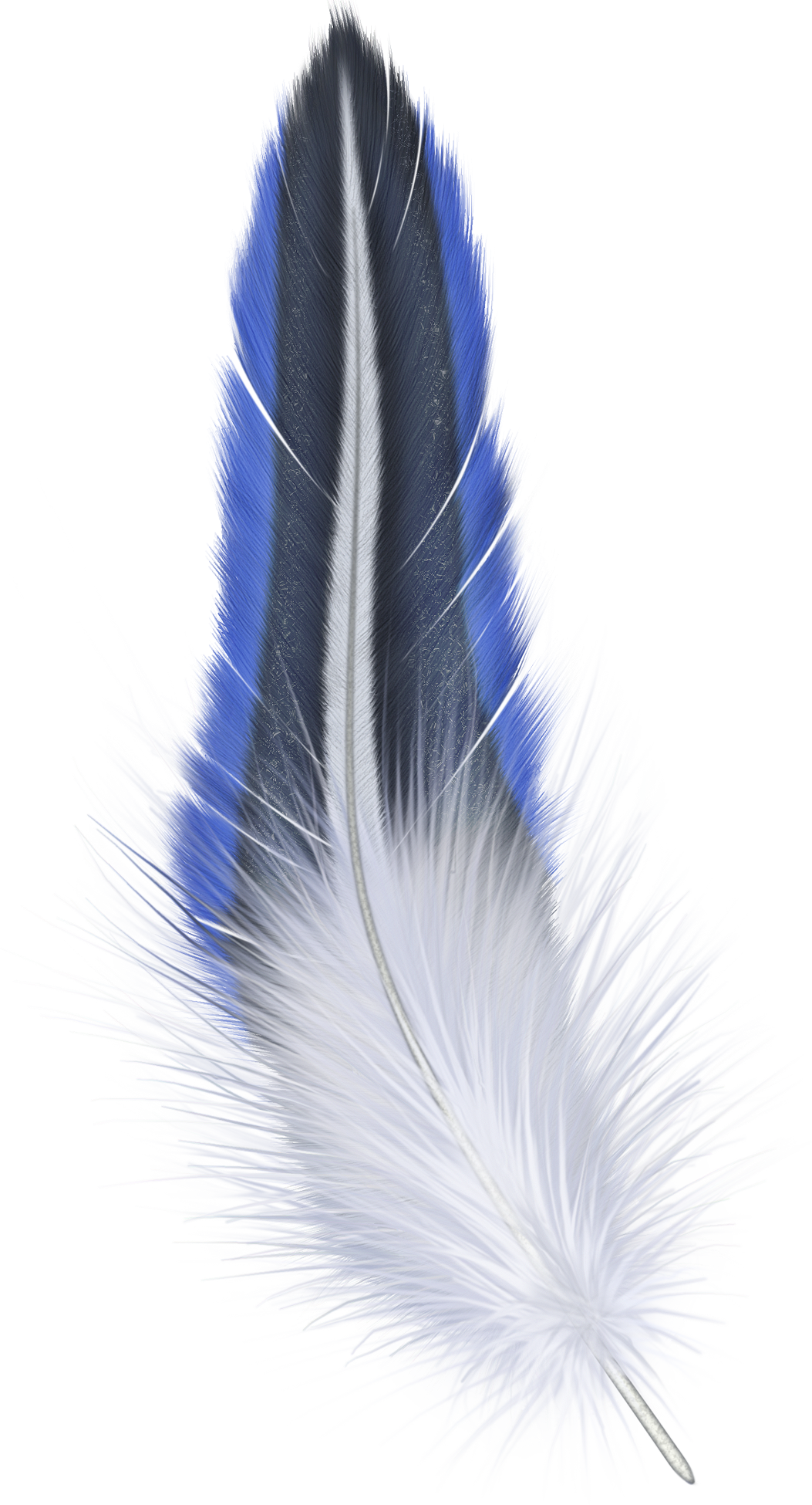 Feather PNG