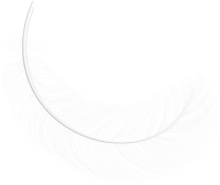 Перо птицы PNG