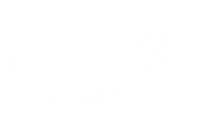 Перо птицы PNG