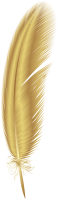 Feather yellow PNG
