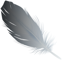 Feather gray PNG
