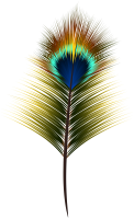 Feather PNG color