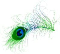 Feather color PNG