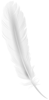 Feather white image PNG