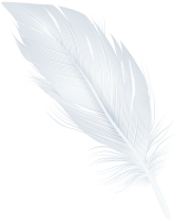 white feather PNG