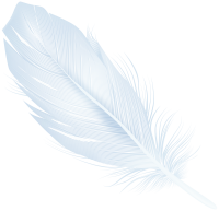 Feather white PNG