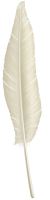 Feather PNG image