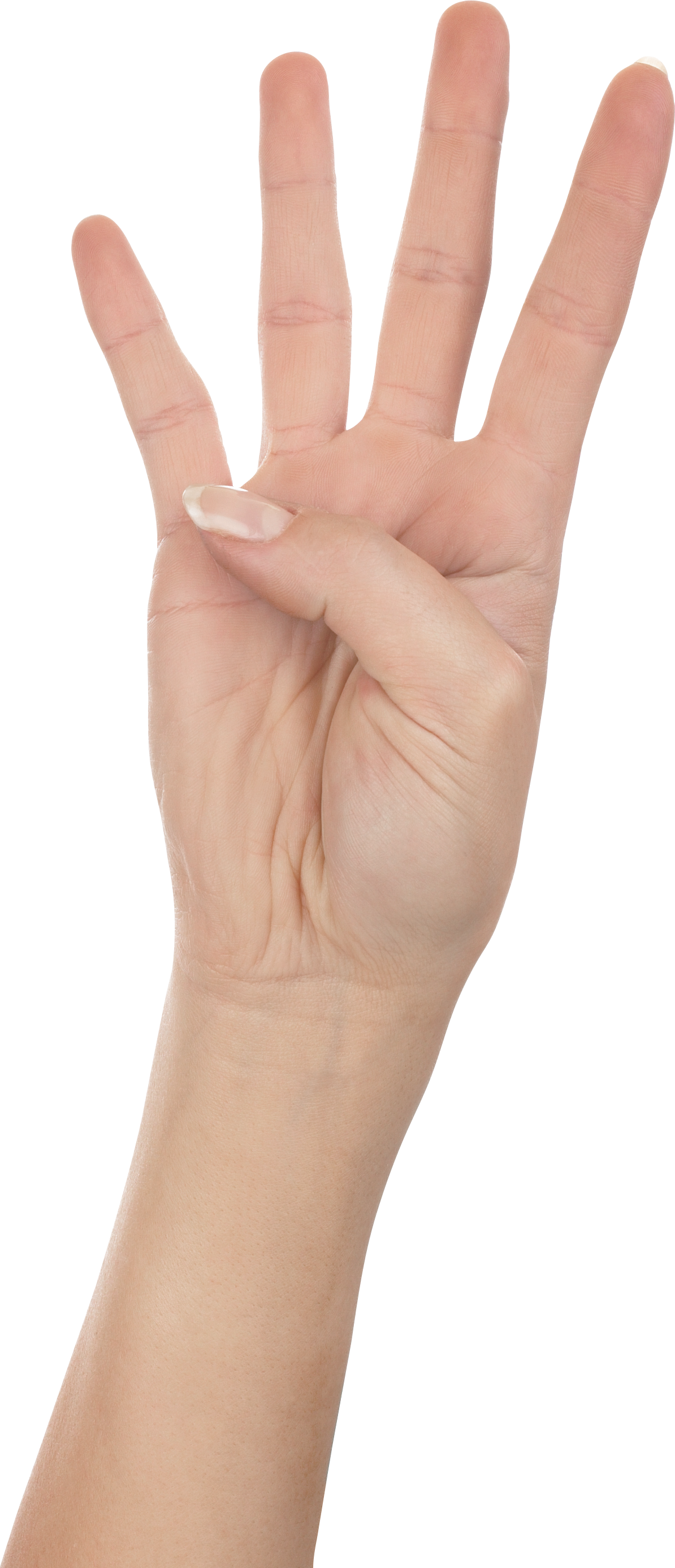 four fingers PNG image