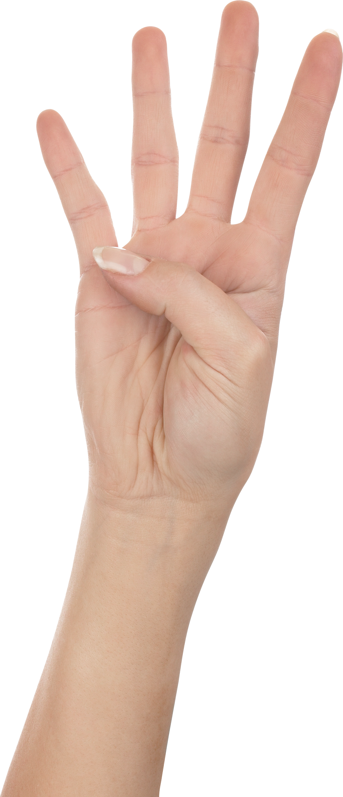 four-fingers-png-image-transparent-image-download-size-1194x2773px