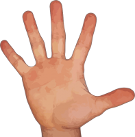 five fingers PNG image