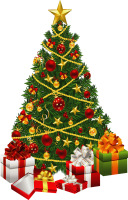 Christmas fir-tree PNG image