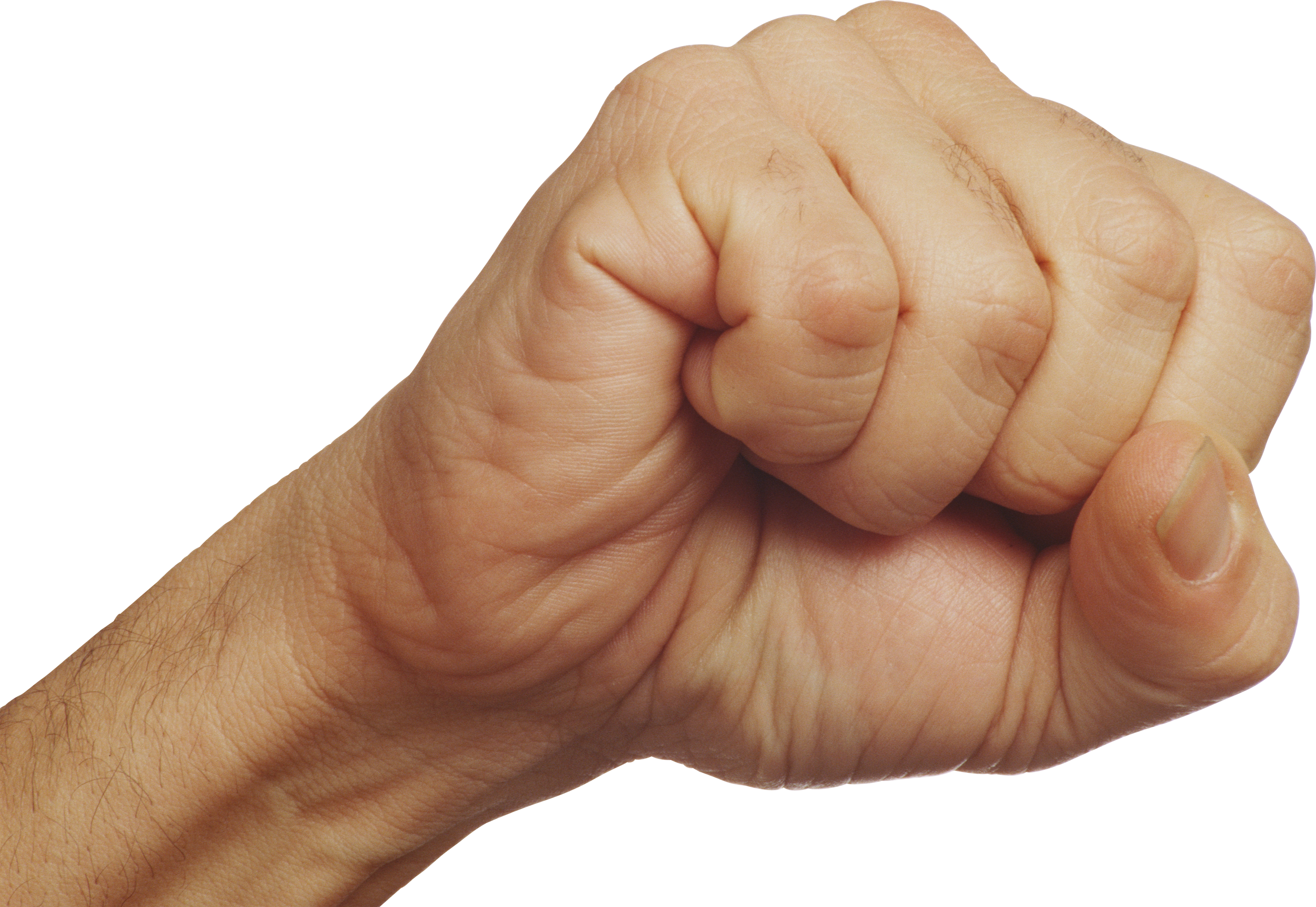 Fist PNG