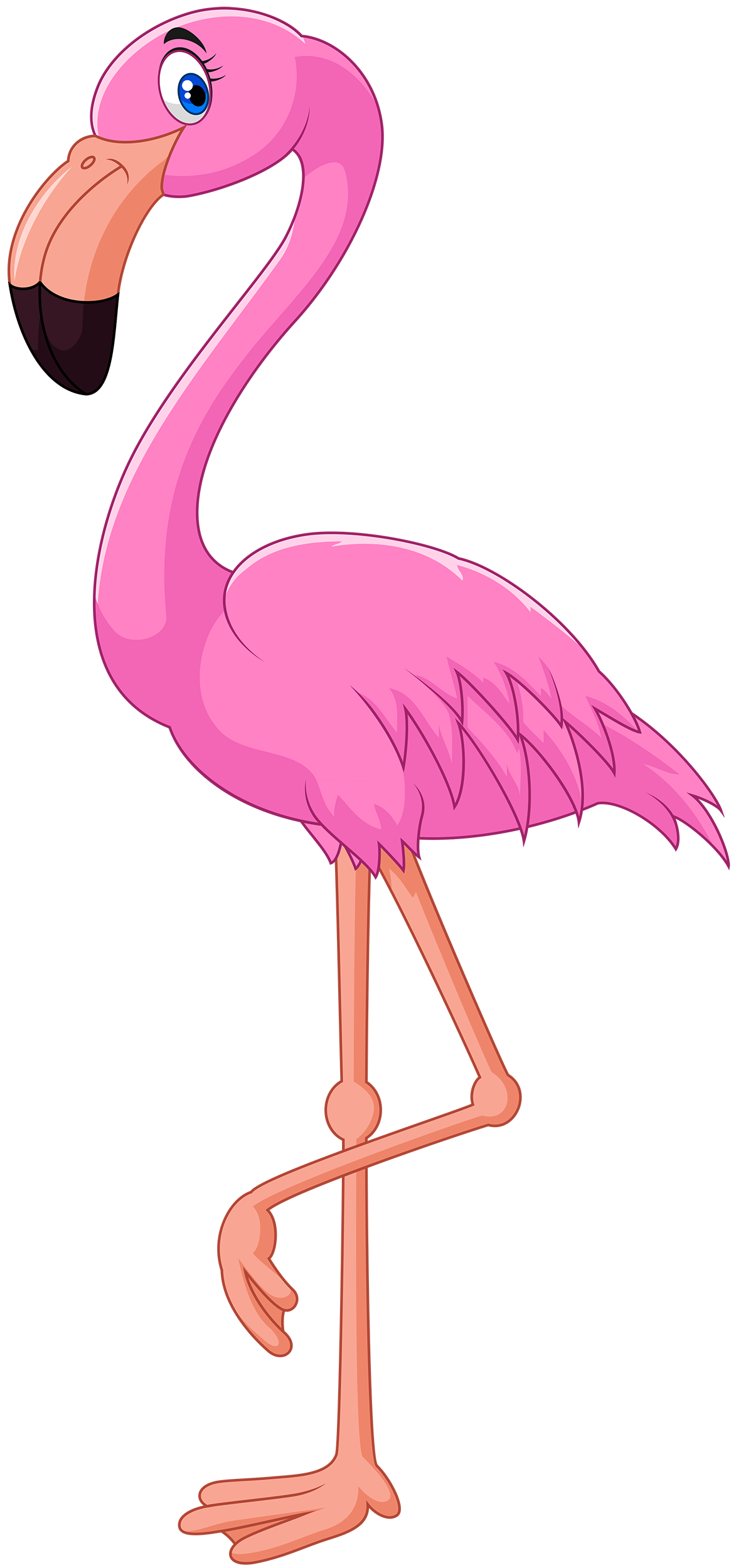 Flamingo Png Transparent Image Download Size 1165x2500px