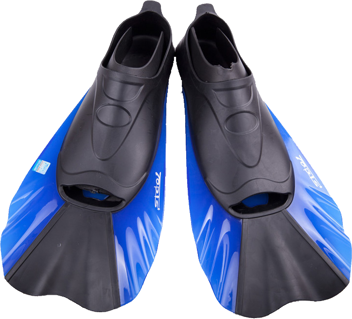 Flippers PNG