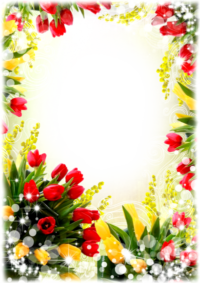 Floral frame PNG