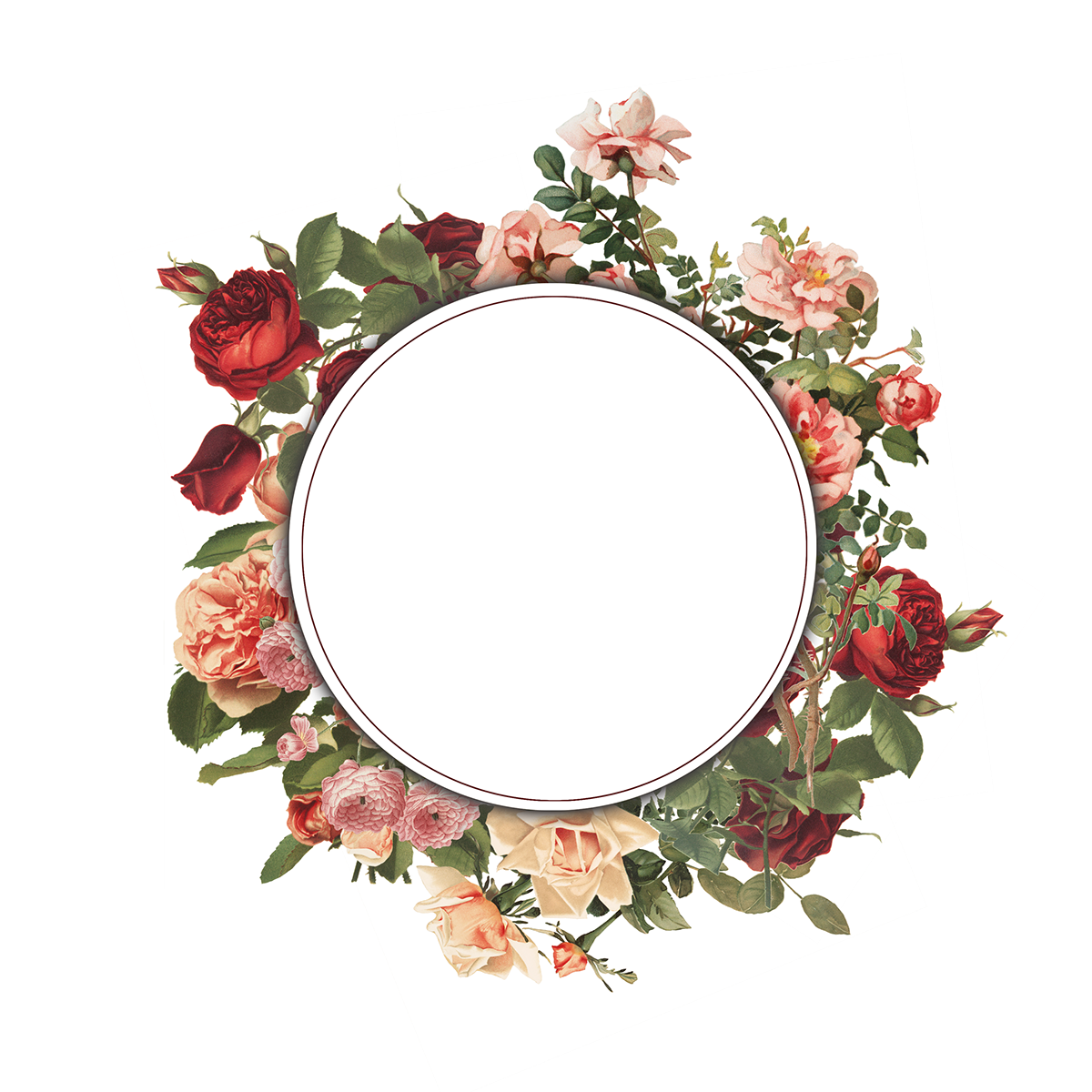 Download Floral frame PNG