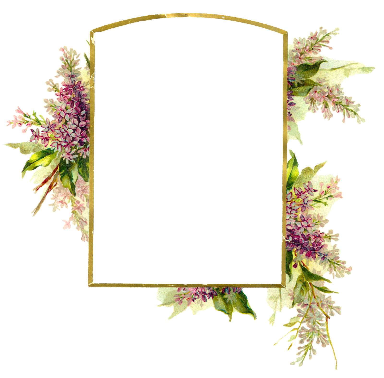 Floral Frame Png Transparent Image Download Size 1600x1573px
