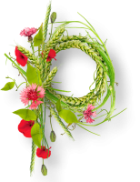 Floral frame PNG