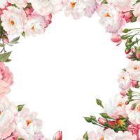 Marco floral PNG