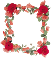Floral frame PNG