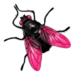 Fly PNG images Download 