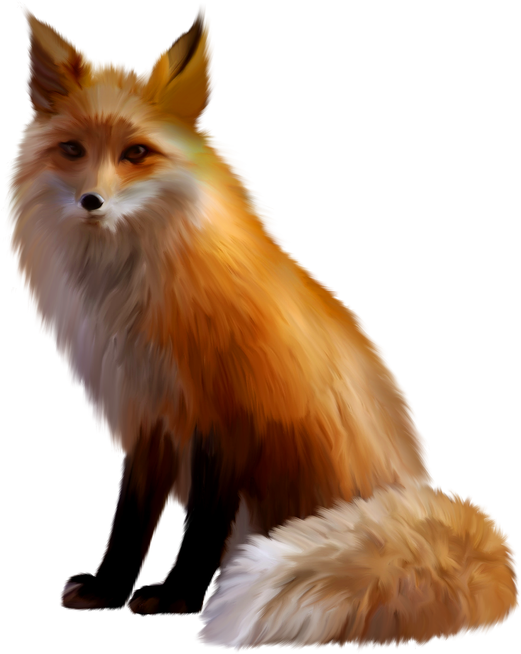 Fox PNG