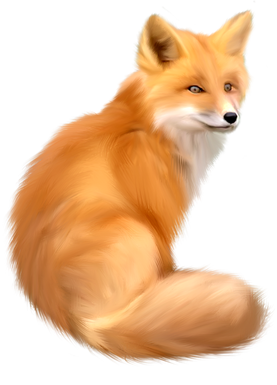 fox png image, free download picture