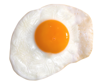 Fried egg PNG