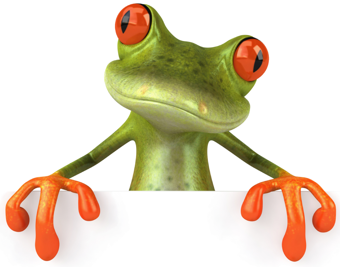 Frog PNG