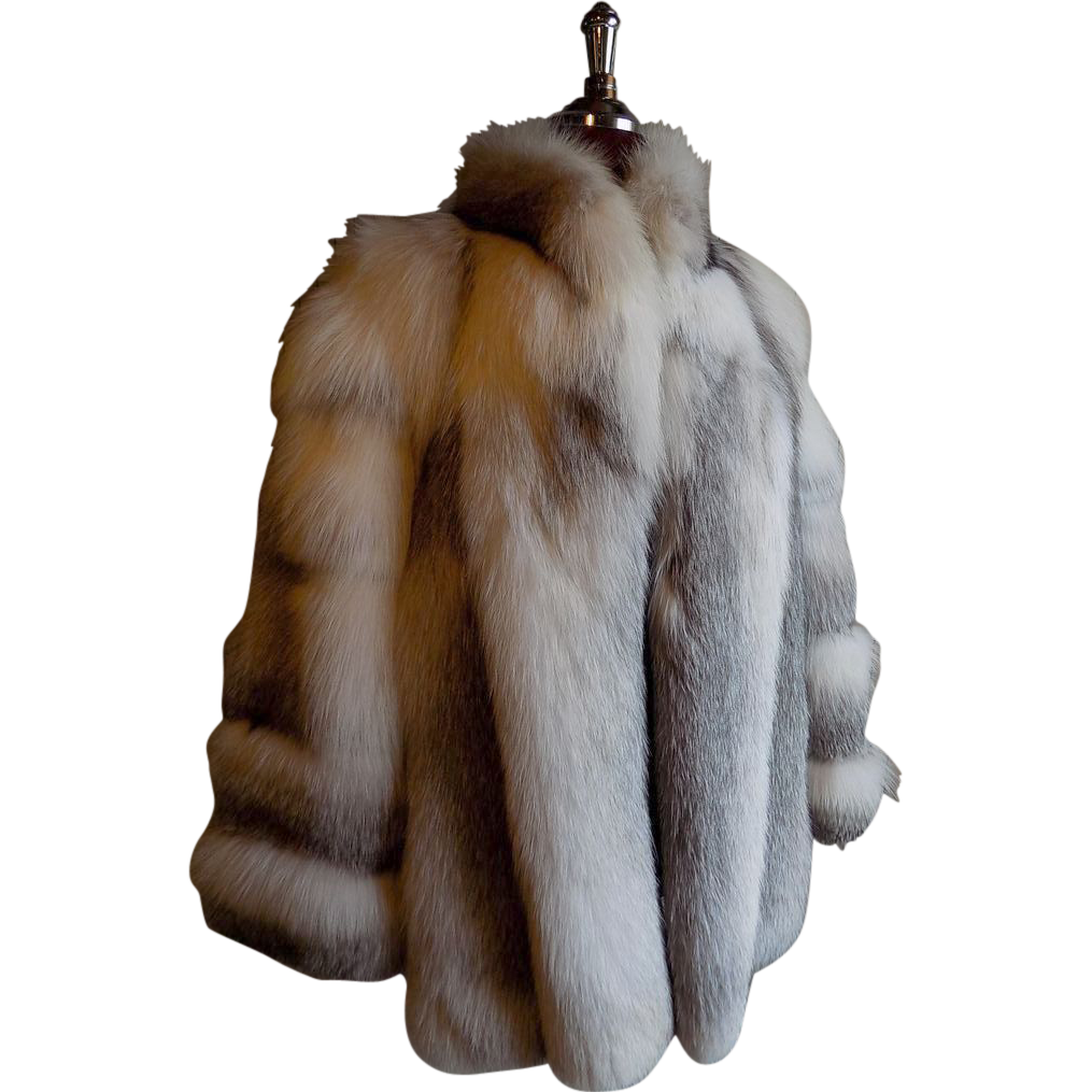 Fur Coat Png Transparent Image Download Size 1015x1015px