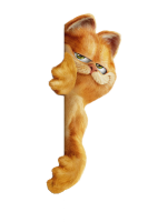 Garfield PNG cat