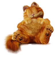 Garfield cat PNG