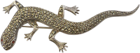 Gecko PNG