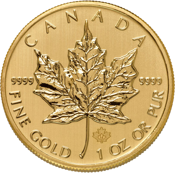 Gold coin PNG image